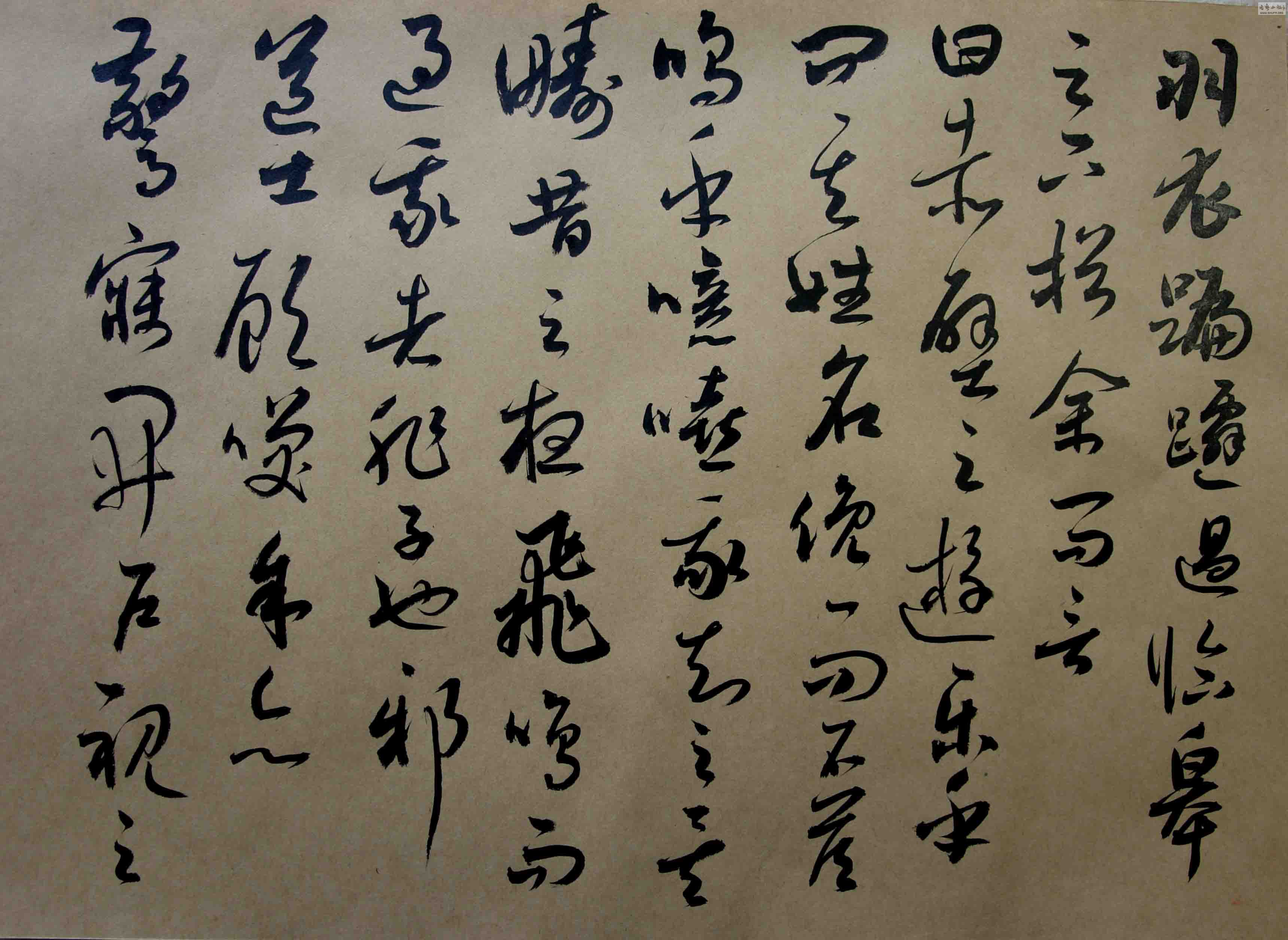 DSC02038.JPG