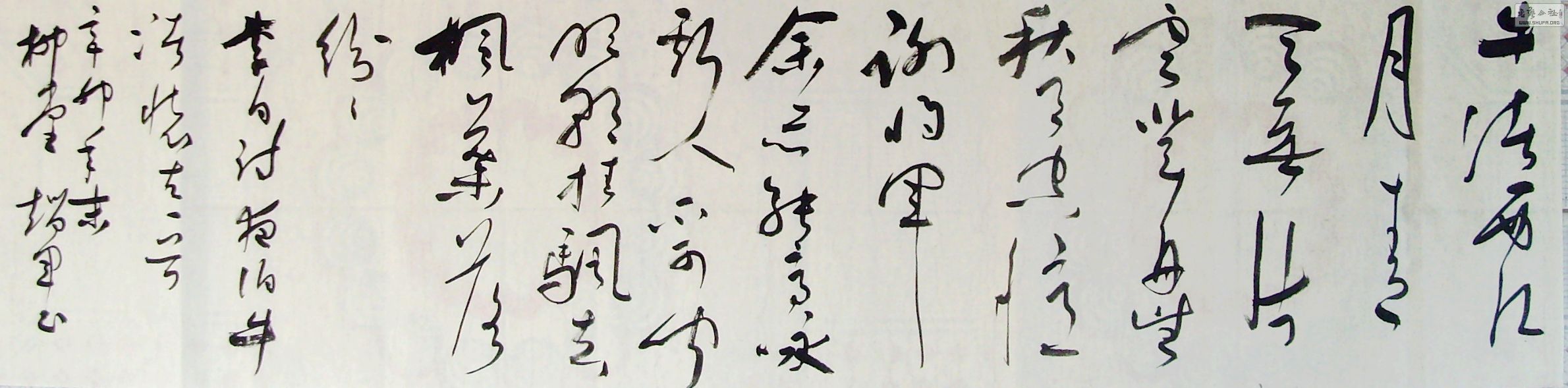 SNV35086.JPG