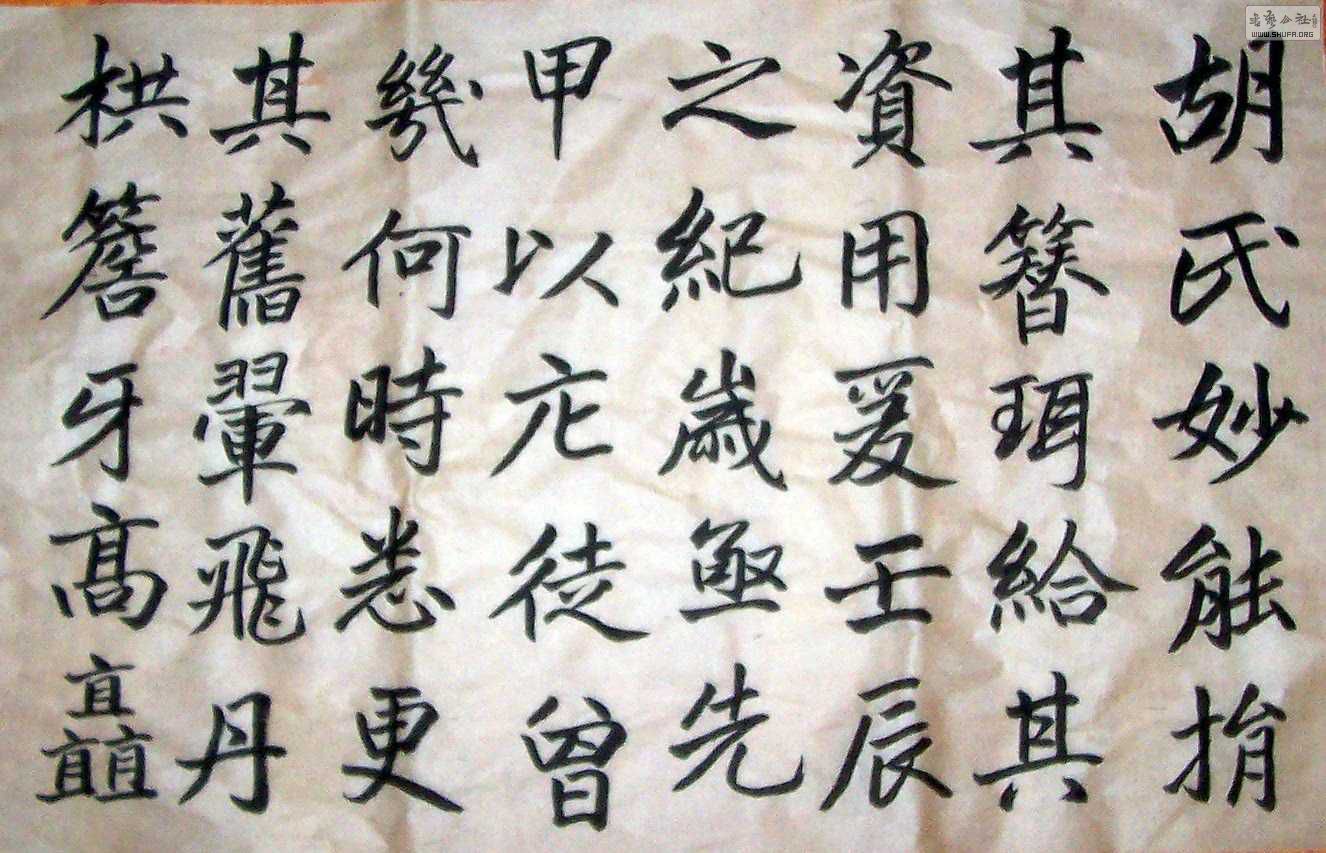 Ƭ8-9 164.jpg
