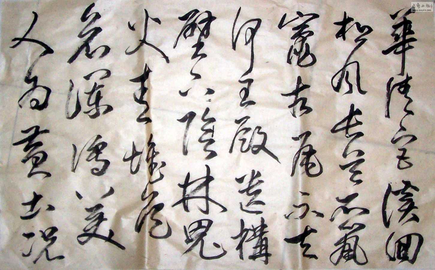 Ƭ8-9 162.jpg