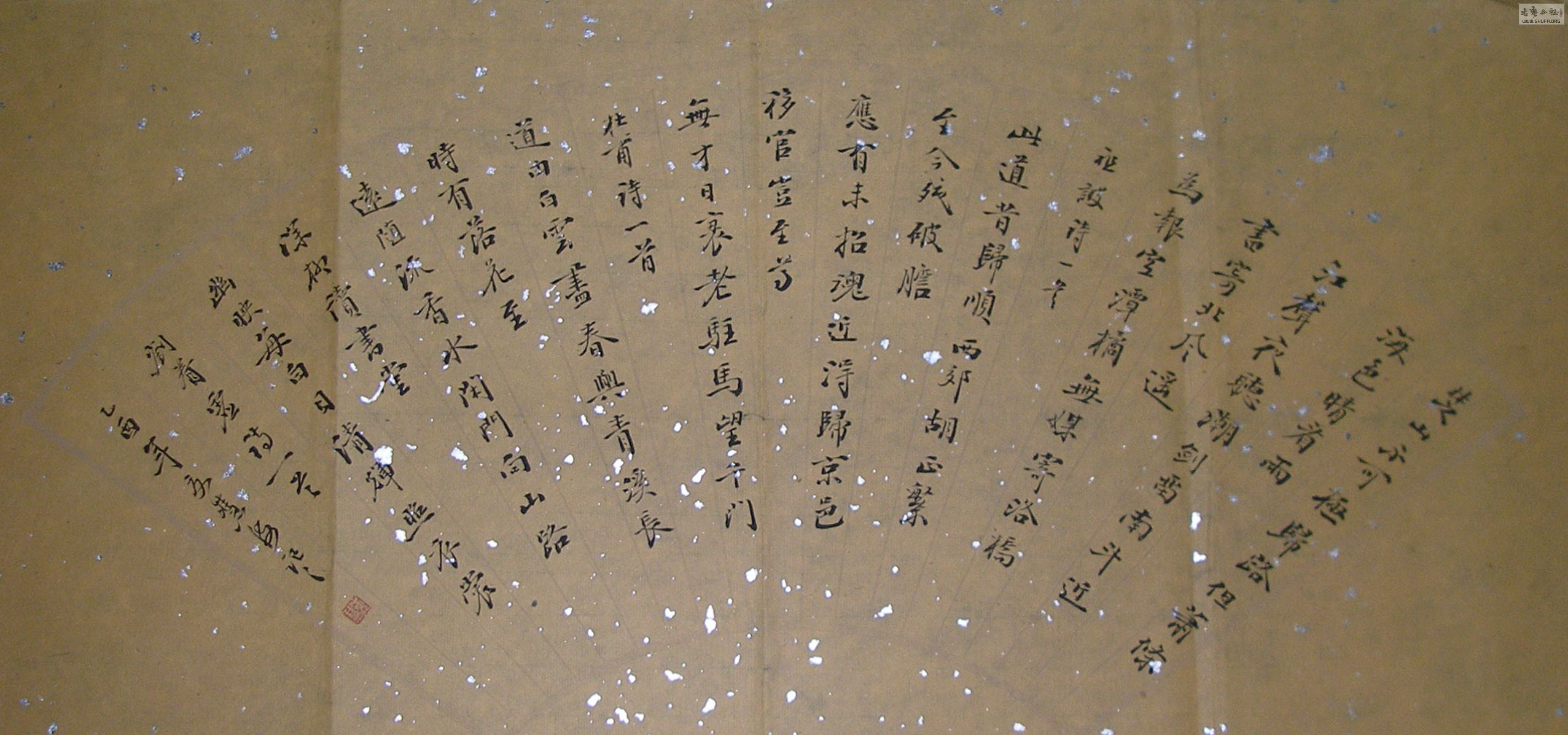 P1010063.jpg
