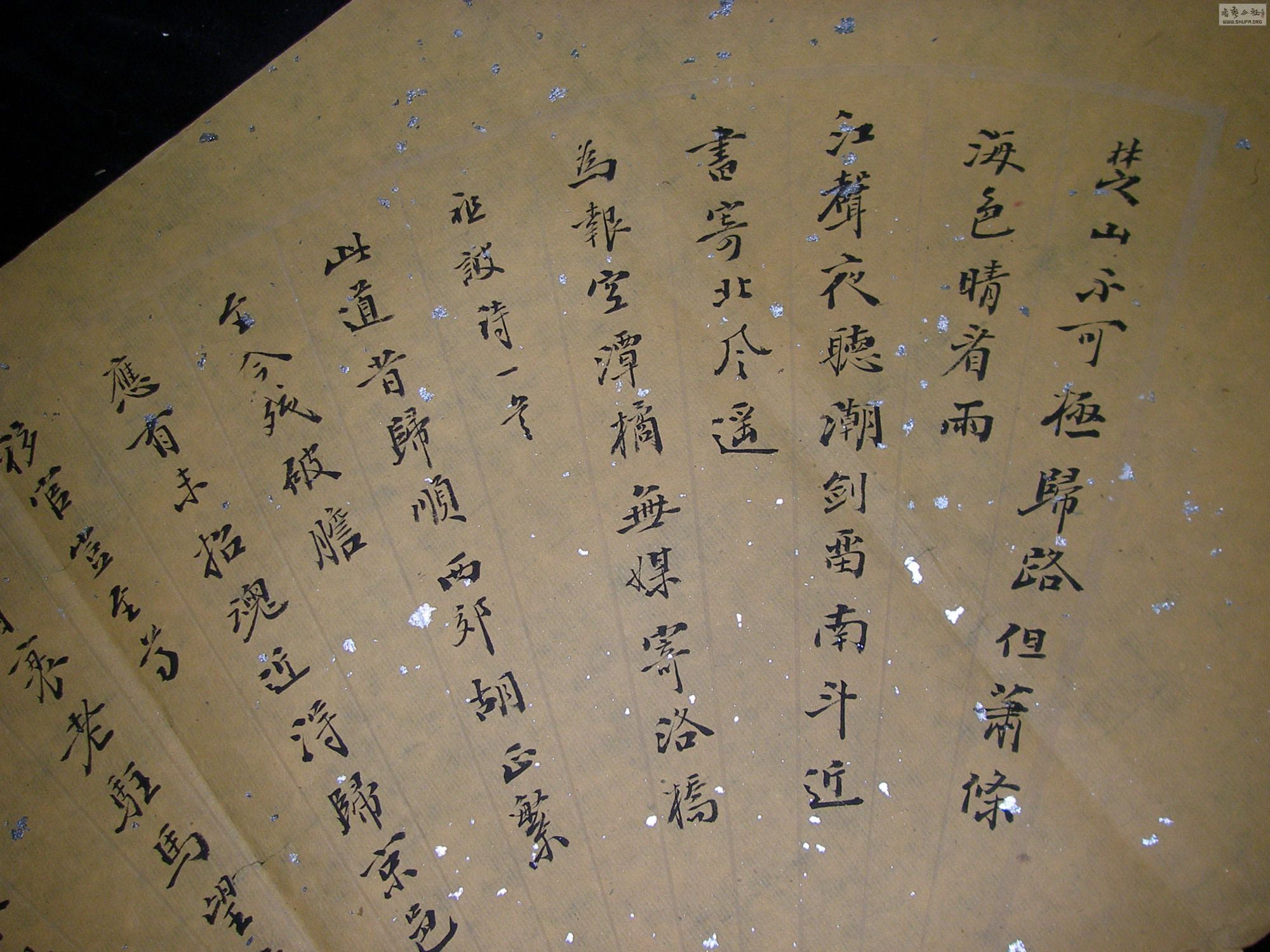 P1010064.JPG