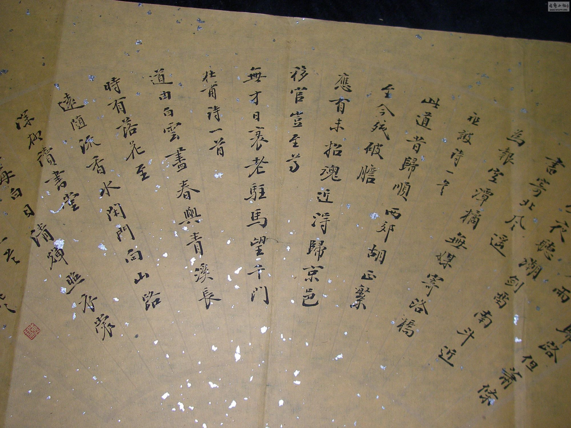 P1010065.JPG
