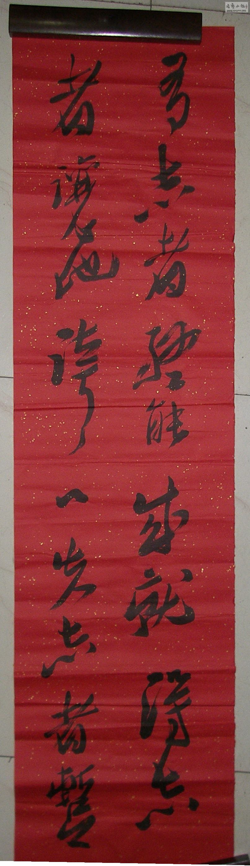 P1010093.jpg