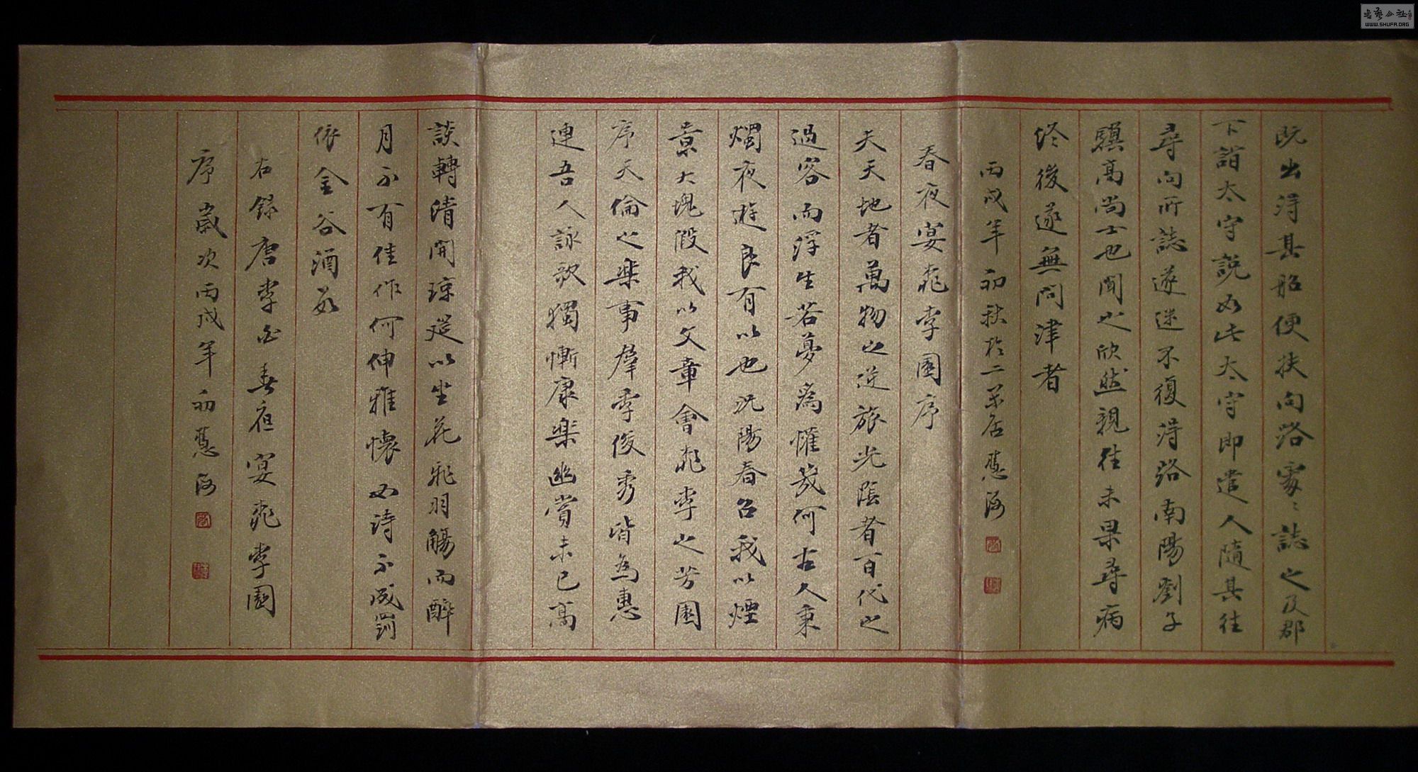 P1010079.jpg