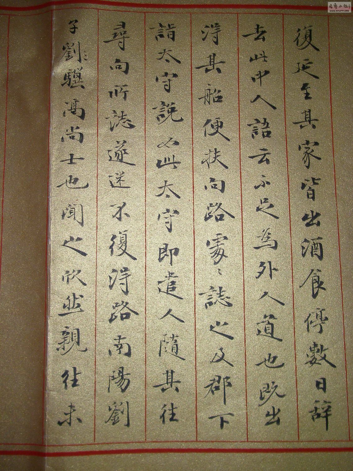 P1010090.jpg