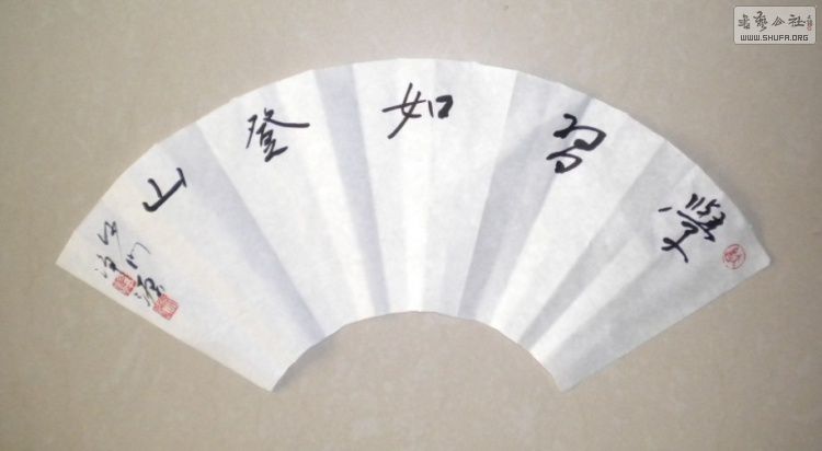 2812216492333306409.jpg
