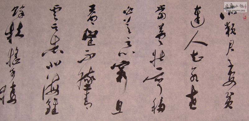 DSCN3531.JPG