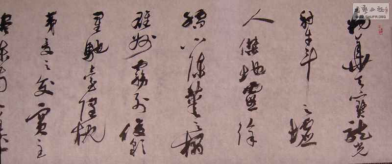 DSCN3534.JPG