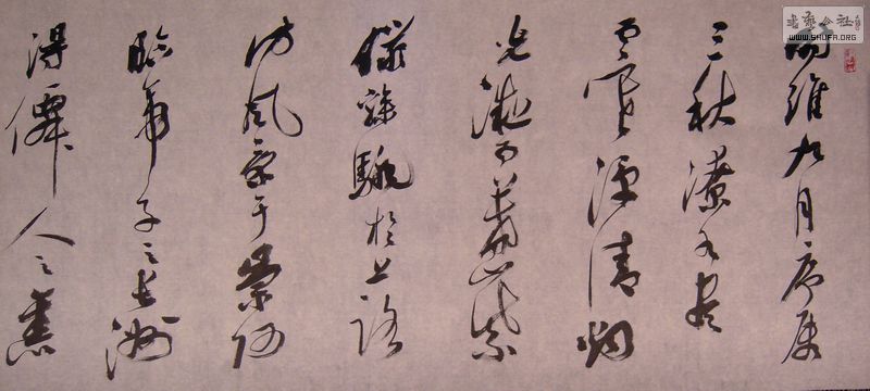 DSCN3537.JPG