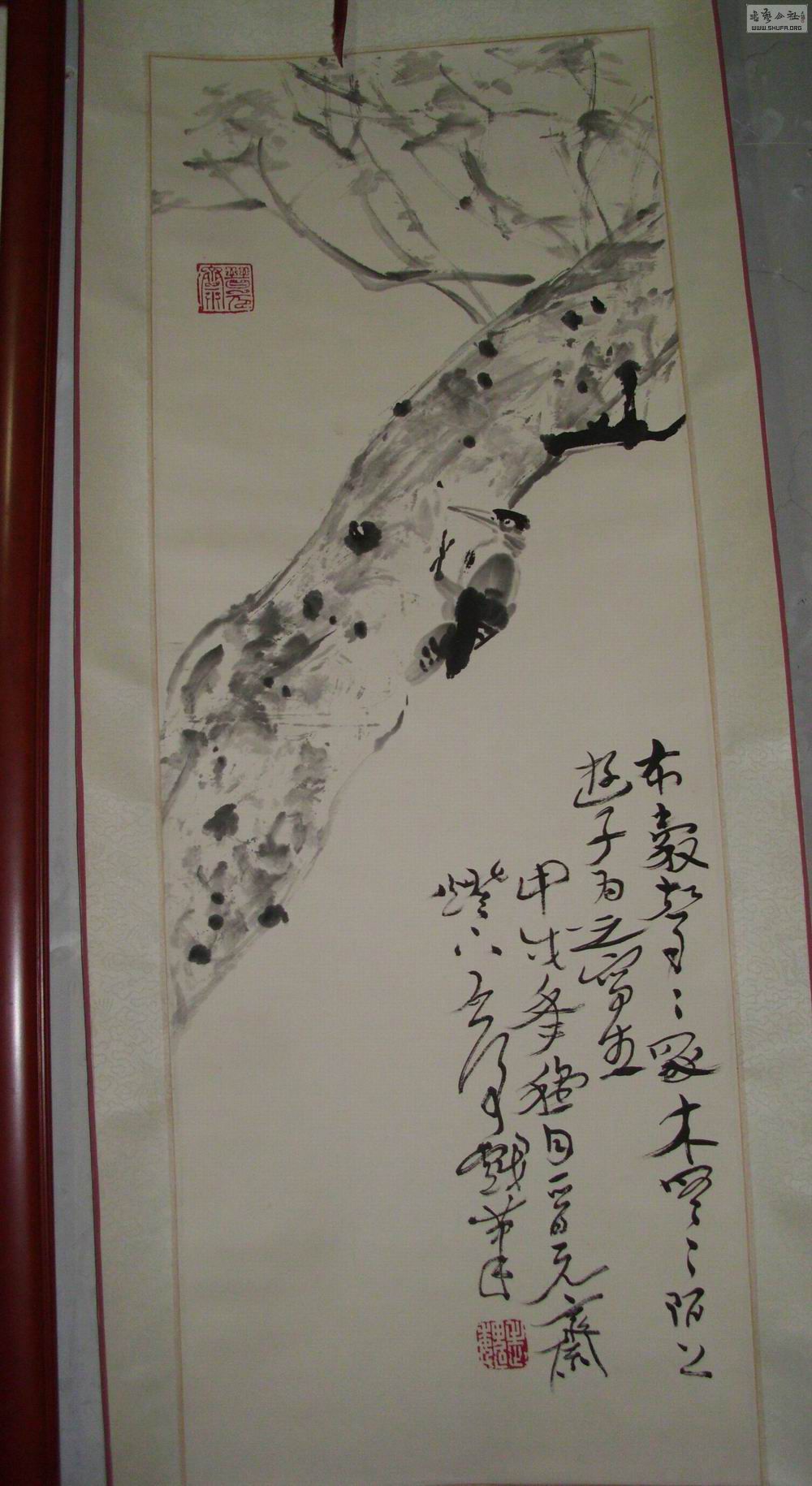 DSCI0293.jpg