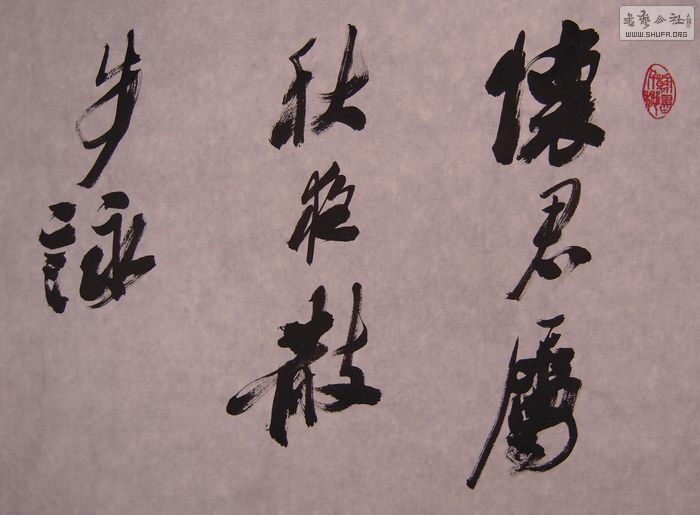 DSCN3524.JPG