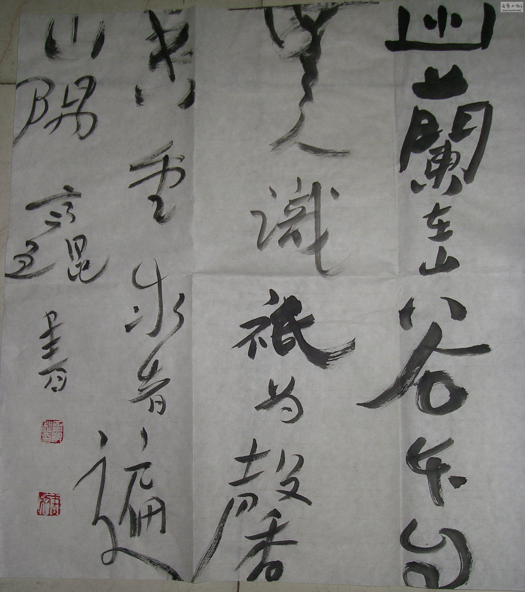 P1010161.jpg