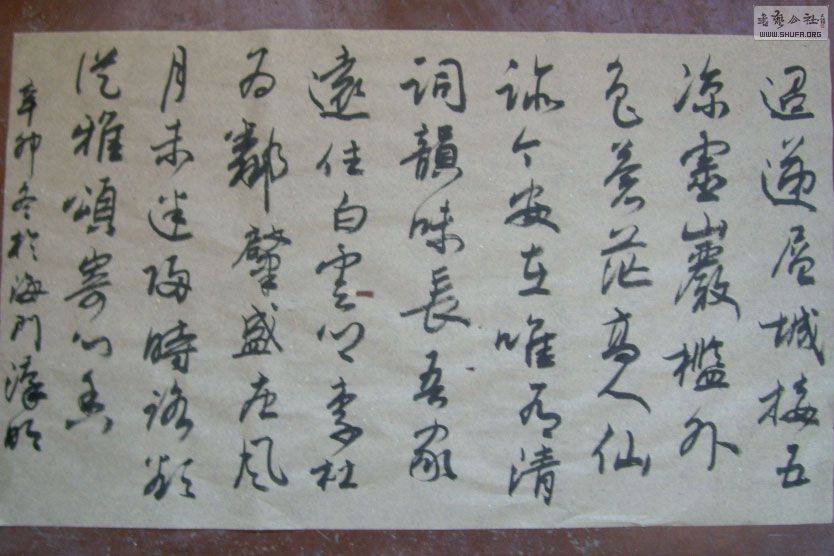 STP610164.jpg