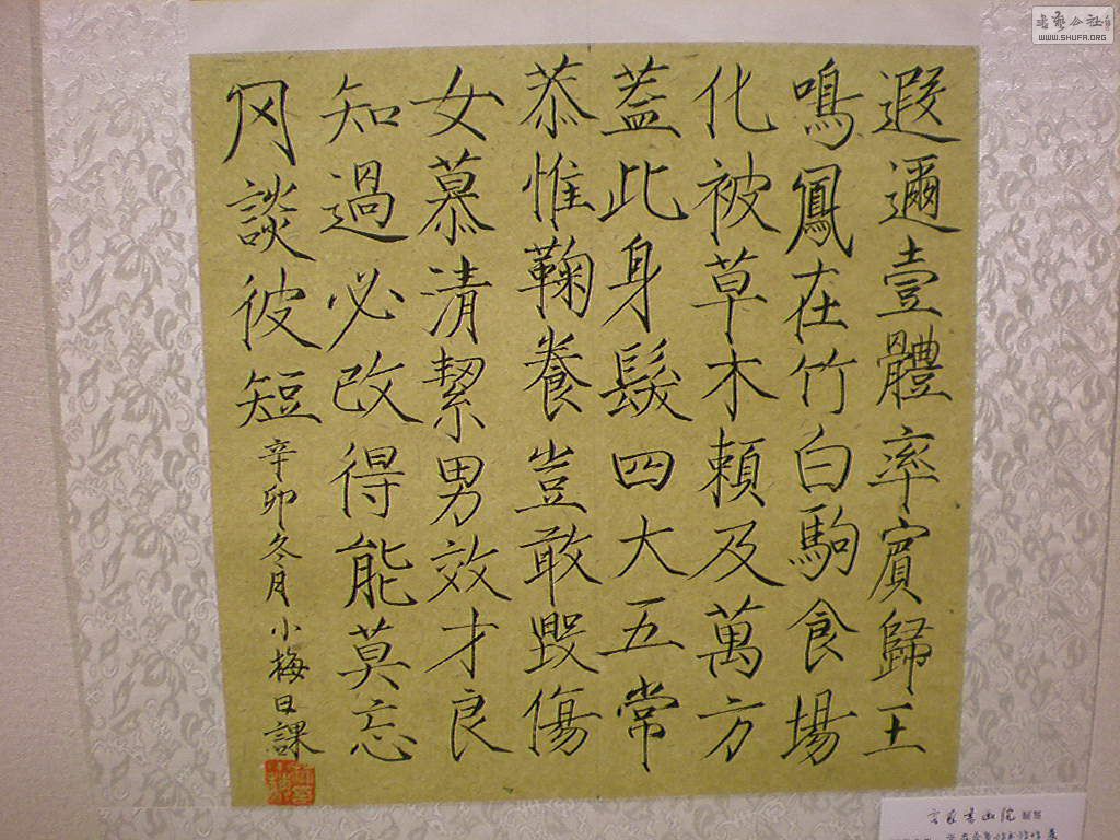 DSCN8281-1.JPG