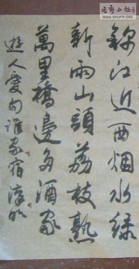 STP610171.jpg