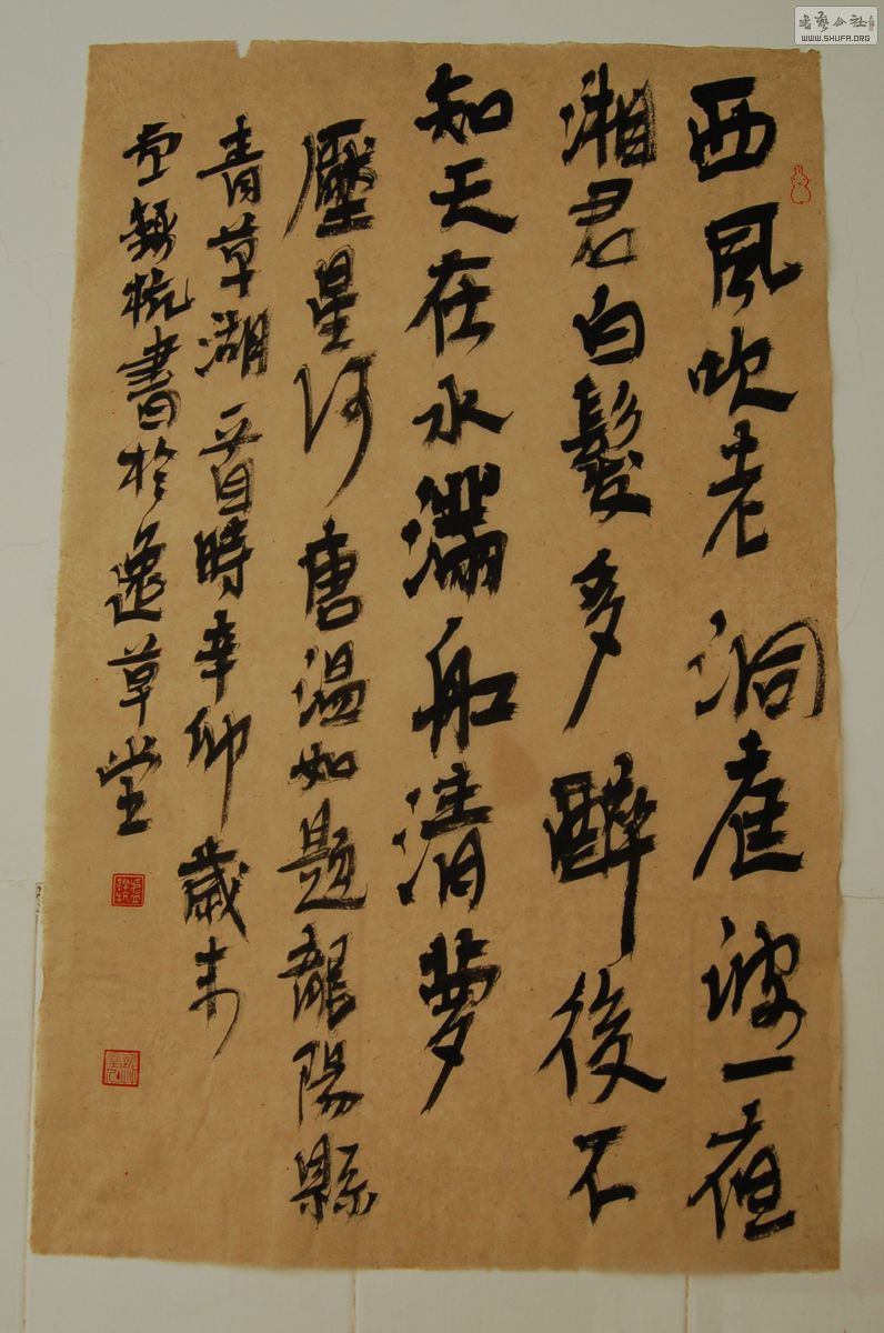 DSC_8680.JPG