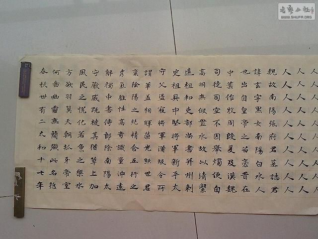 PA1_1116_003.jpg