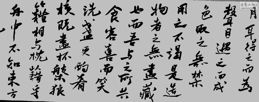 P1300050.jpg