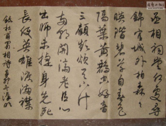 STP610175.jpg