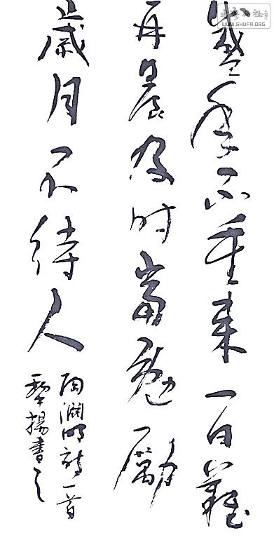 鷨5.jpg