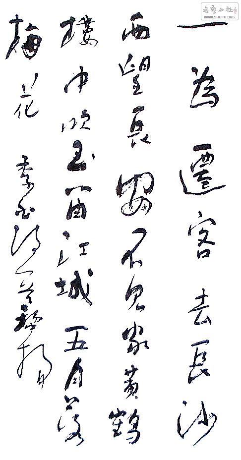 鷨2011.jpg