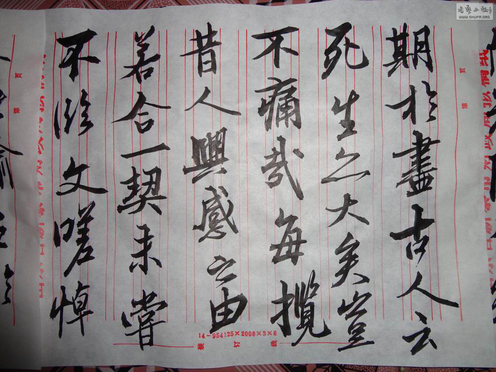 DSC01215.JPG