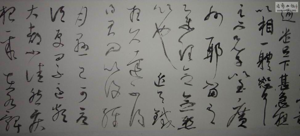 DSC01228.JPG