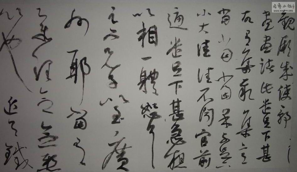 DSC01225.JPG