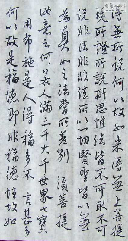 DSCF1067.JPG