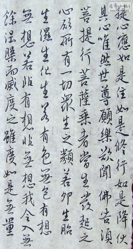 DSCF1061.JPG