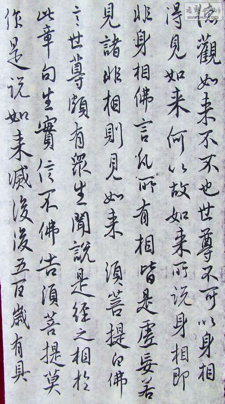 DSCF1064.JPG