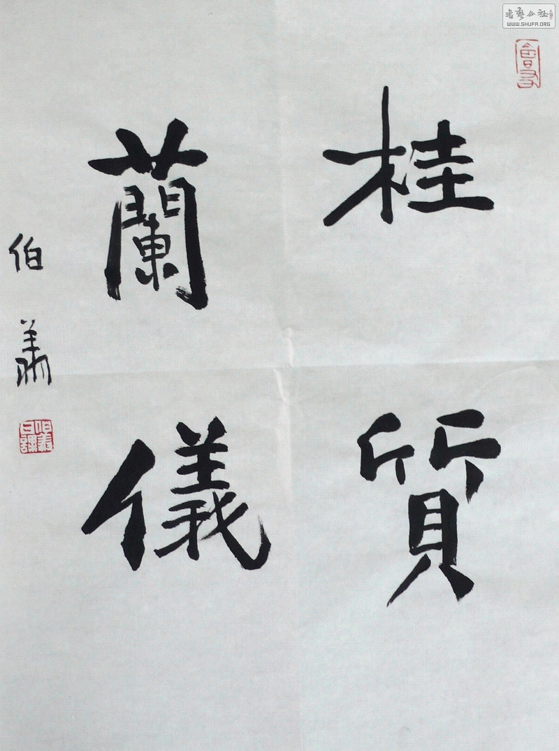 P1090219.gif