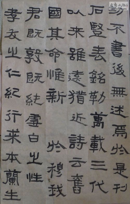 P1000525.JPG