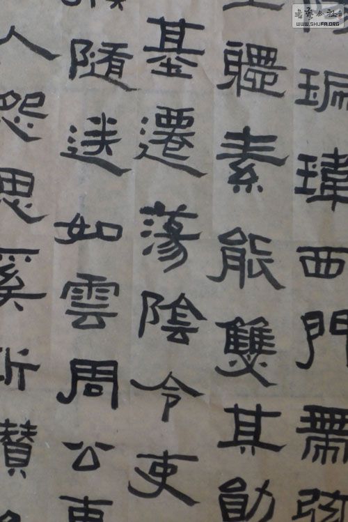 P1000524.JPG