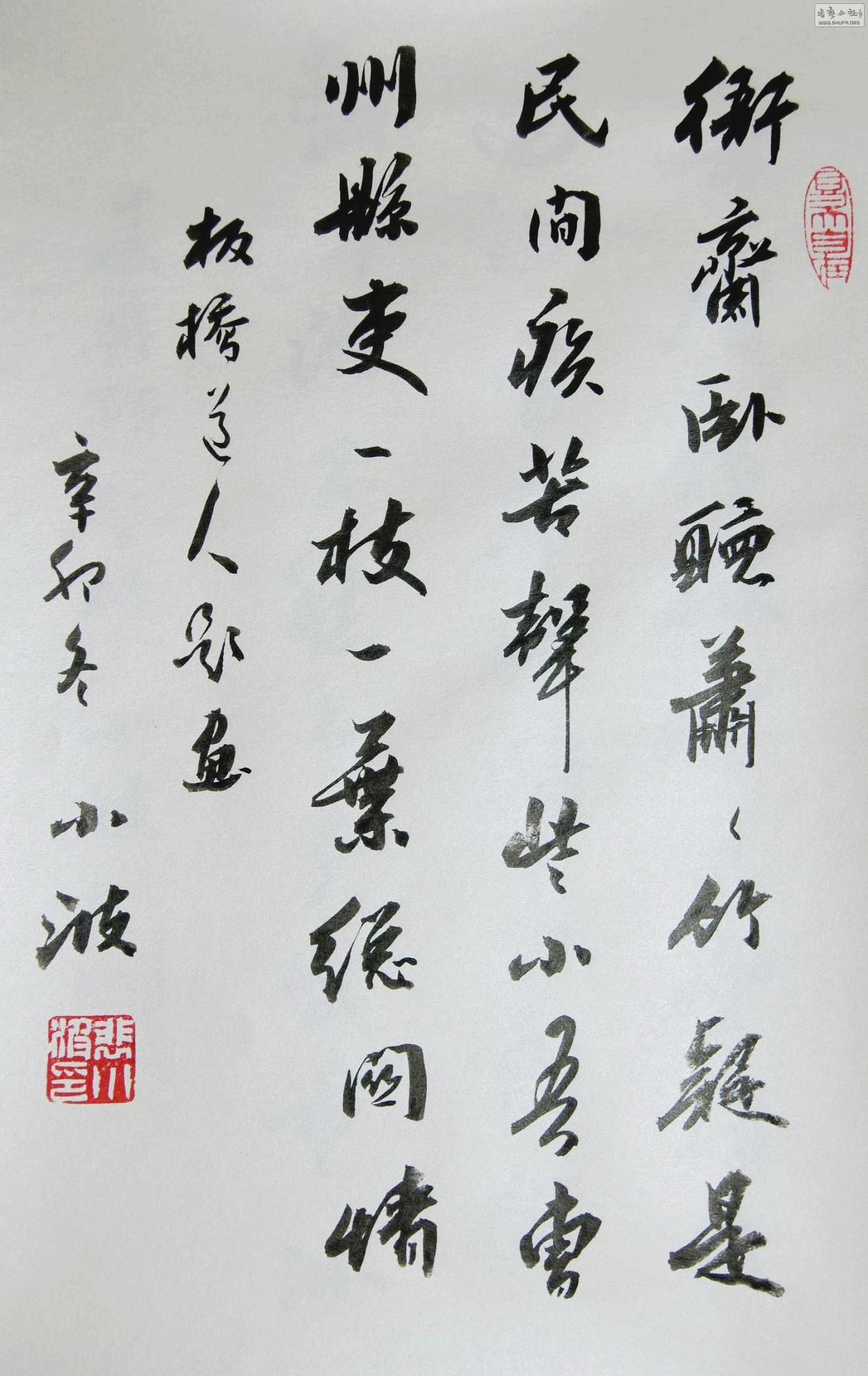 DSC04131_conew1.jpg