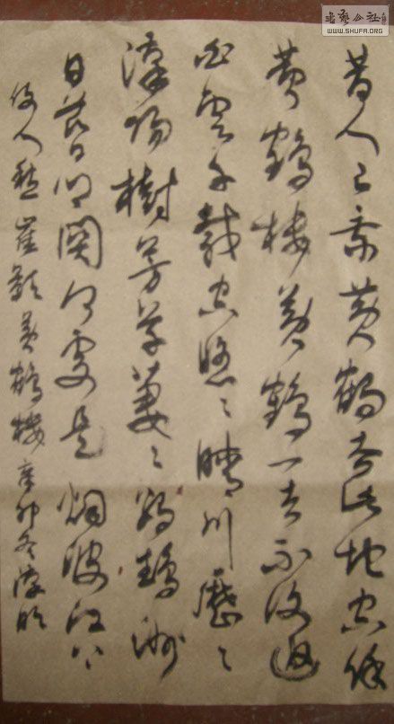 STP610179.jpg