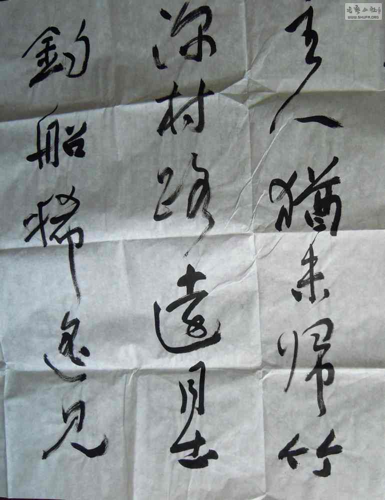 DSCN6528.JPG