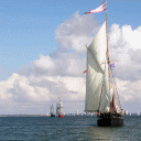 gifa051206x.gif