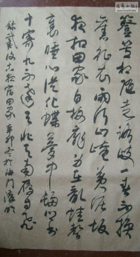 STP610189.jpg