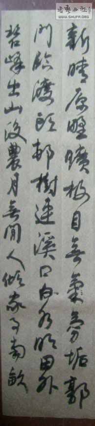 STP610191.jpg
