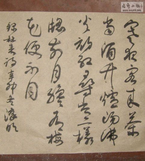 STP610194.jpg