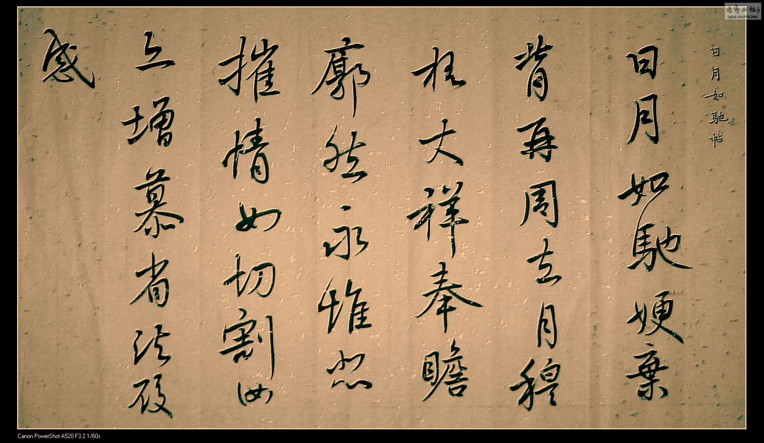 Ƭ 094.jpg