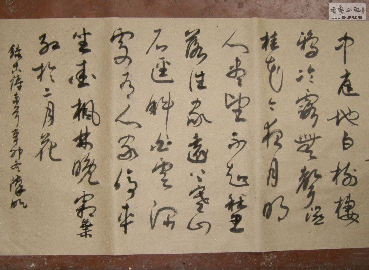STP610199.jpg