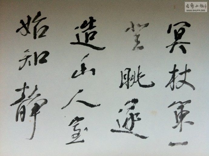 49fd002.jpg