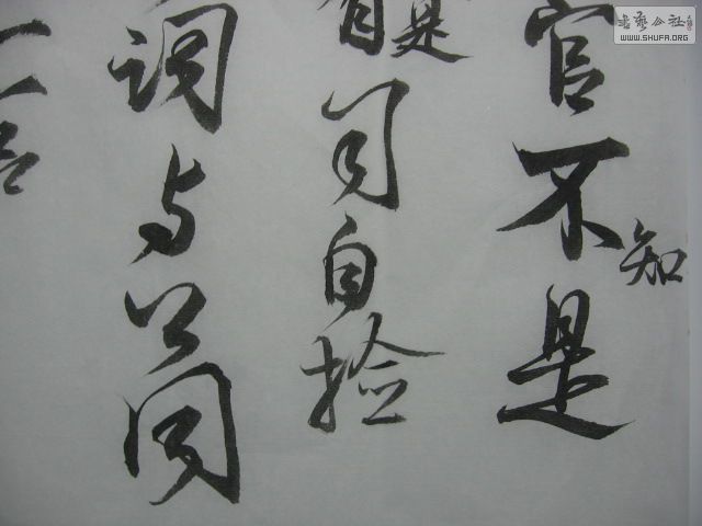 Ƭ 003.jpg