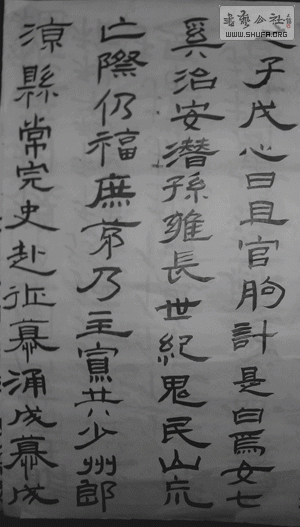 DSC00509.gif