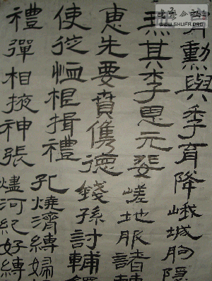 DSC00507.gif