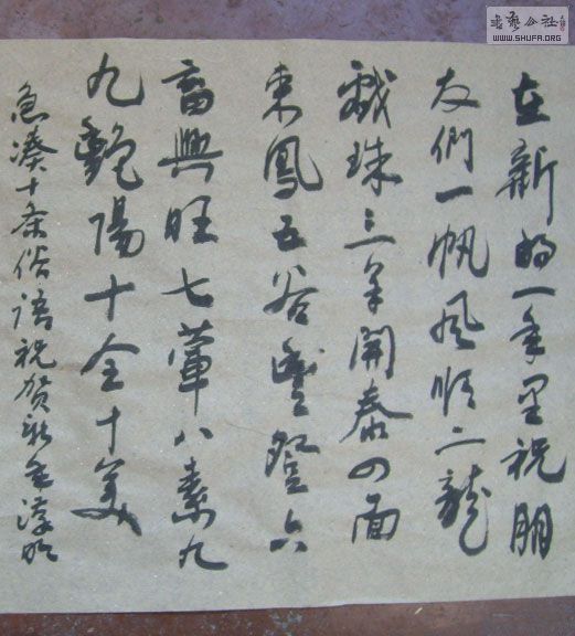 STP610204.jpg