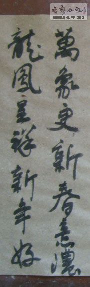 STP610205.jpg